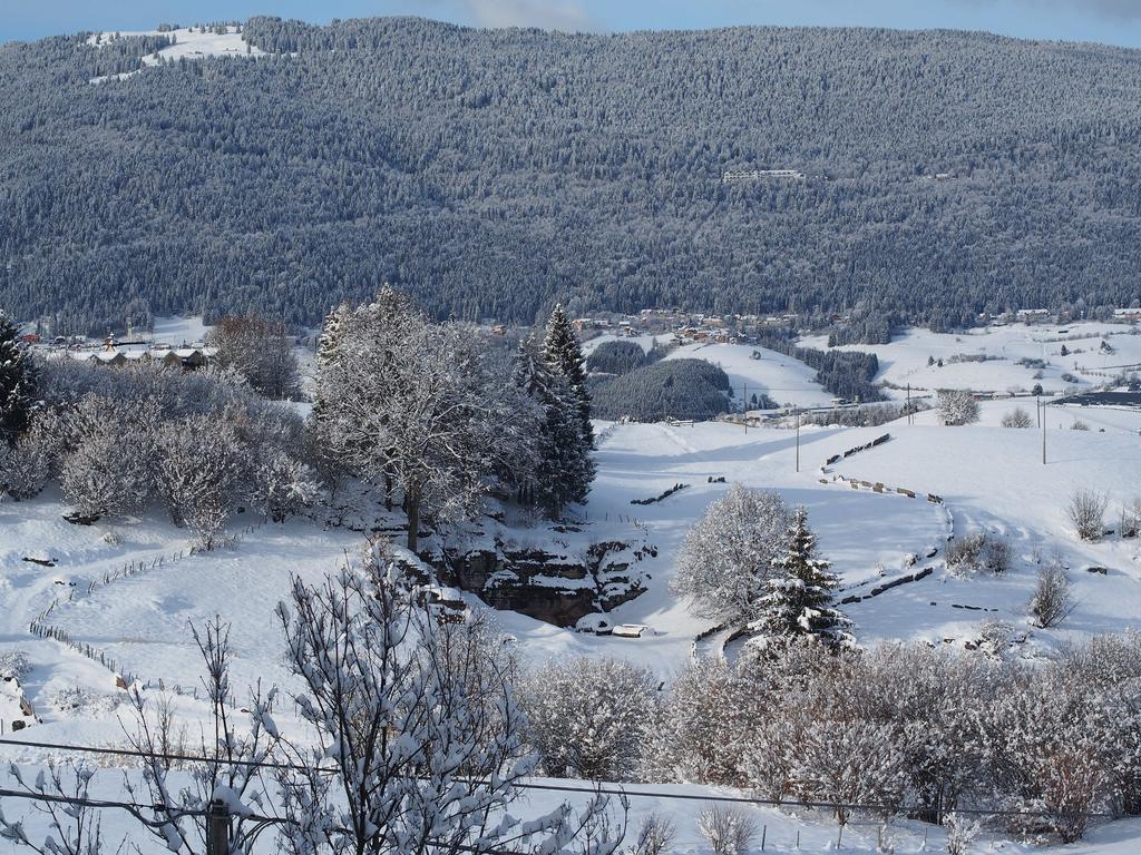 Hotel Belvedere Роана Екстериор снимка