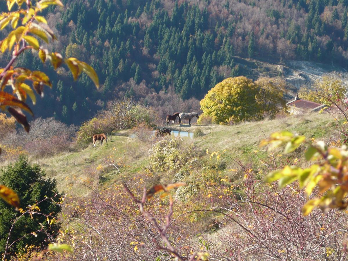 Hotel Belvedere Роана Екстериор снимка